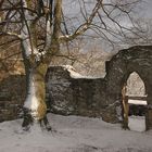 Burg Plesse im Winter #3