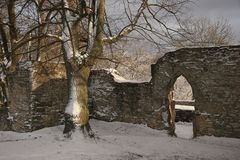 Burg Plesse im Winter #3