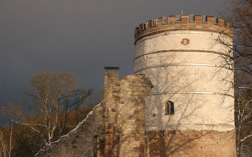 Burg Plesse im Winter #4