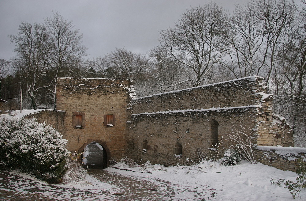 Burg Plesse im Winter #5
