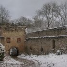 Burg Plesse im Winter #5