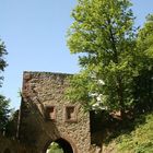 Burg Plesse, inneres Tor