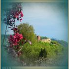 Burg Polle im Frühling - Weserbergland