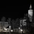 Burg Posterstein im Monochrom-Nachtlicht