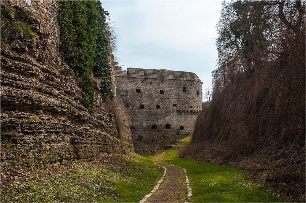 Burg Querfurt (2)