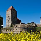 Burg Querfurt im Mai