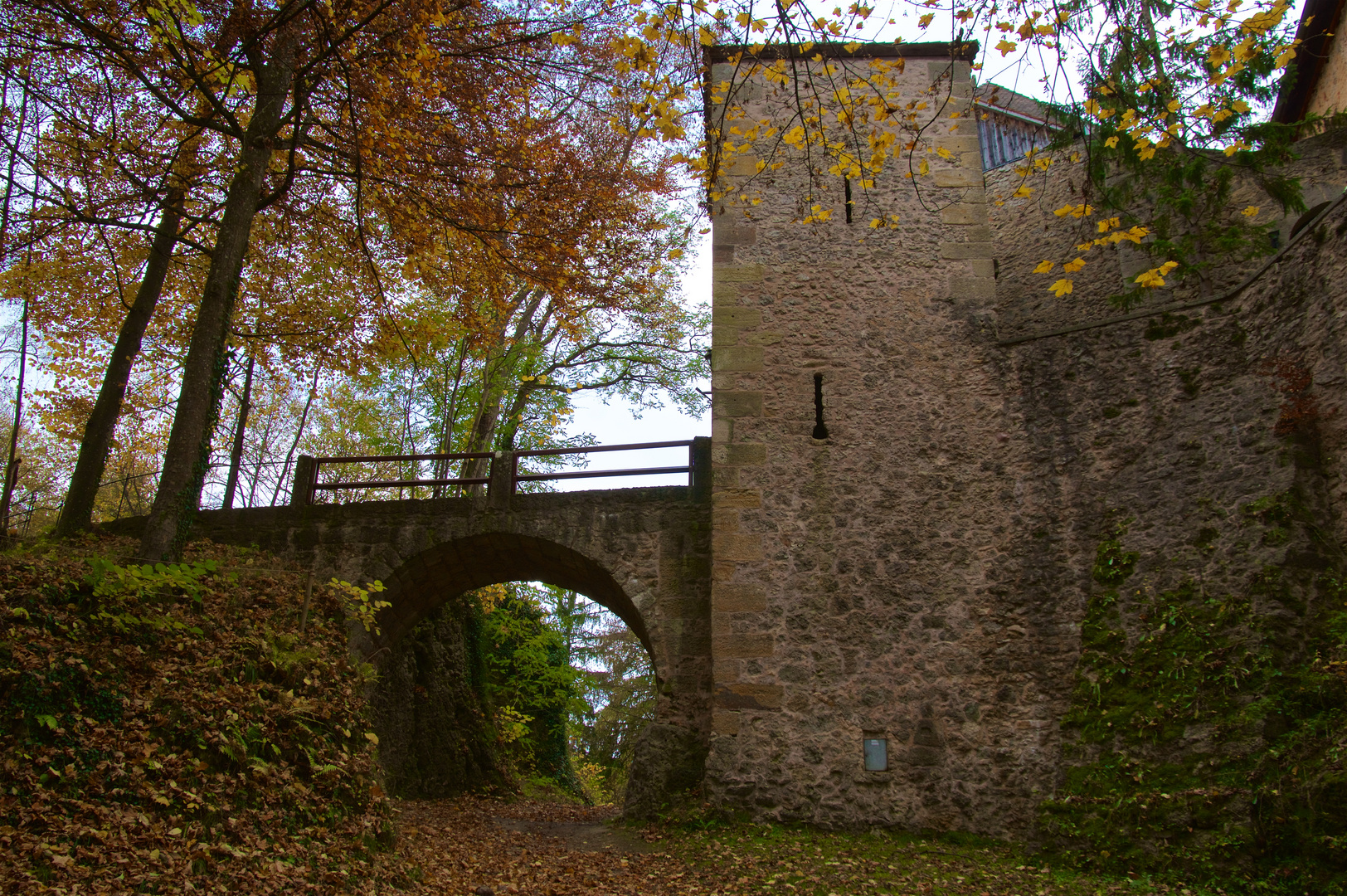Burg Rabeneck Foto & Bild herbst, burg, gebäude Bilder auf