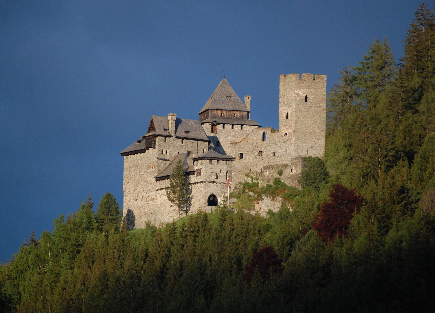 Burg Ramingstein