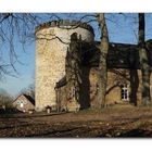 Burg Ravensberg