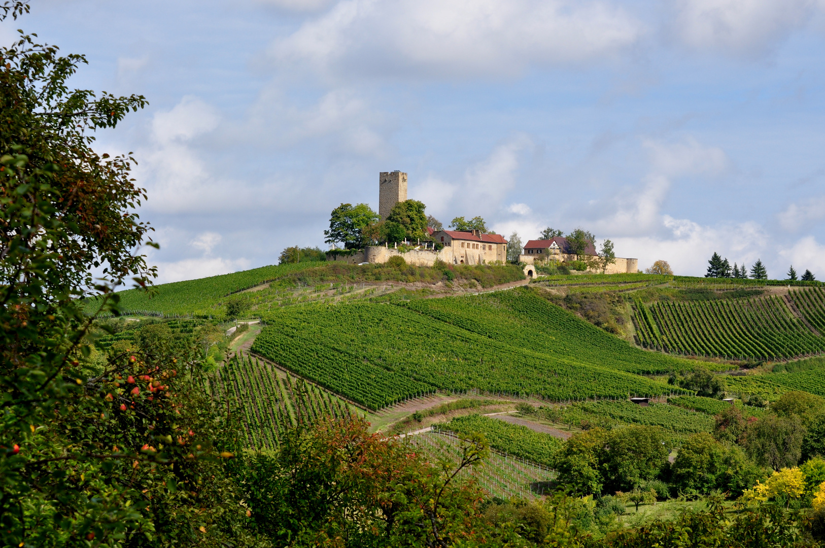 Burg Ravensburg