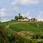 Burg Ravensburg