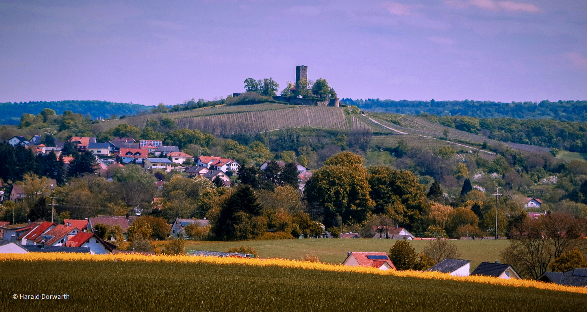 Burg Ravensburg im Frühling