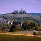 Burg Ravensburg im Frühling