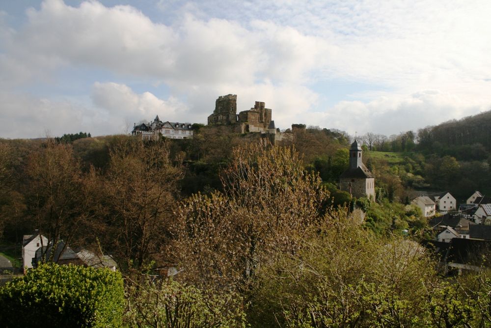 Burg Reichenberg (Frühjahr 2017)