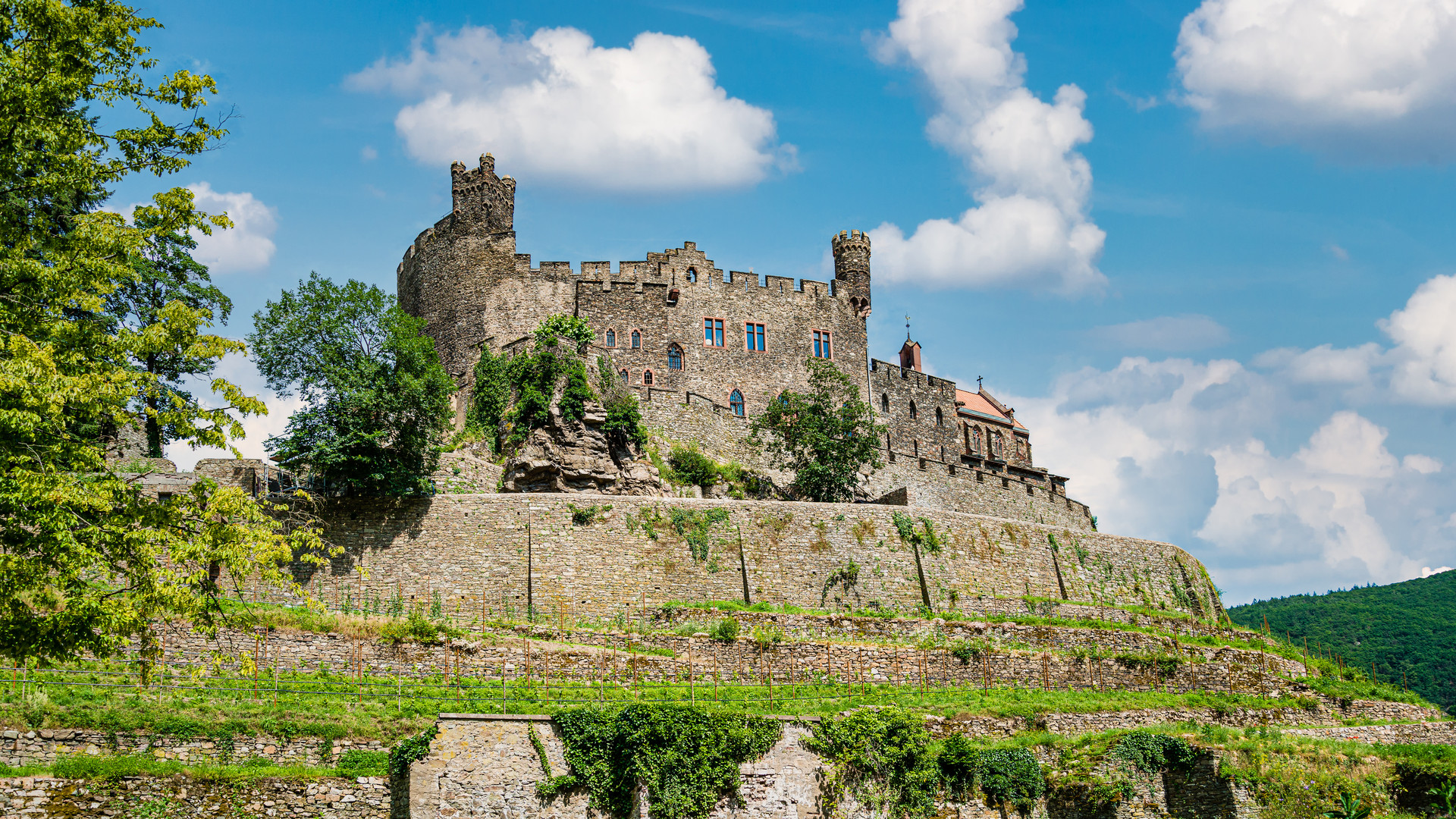 Burg Reichenstein 46