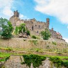 Burg Reichenstein 50