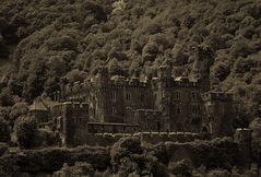 Burg Reichenstein ...