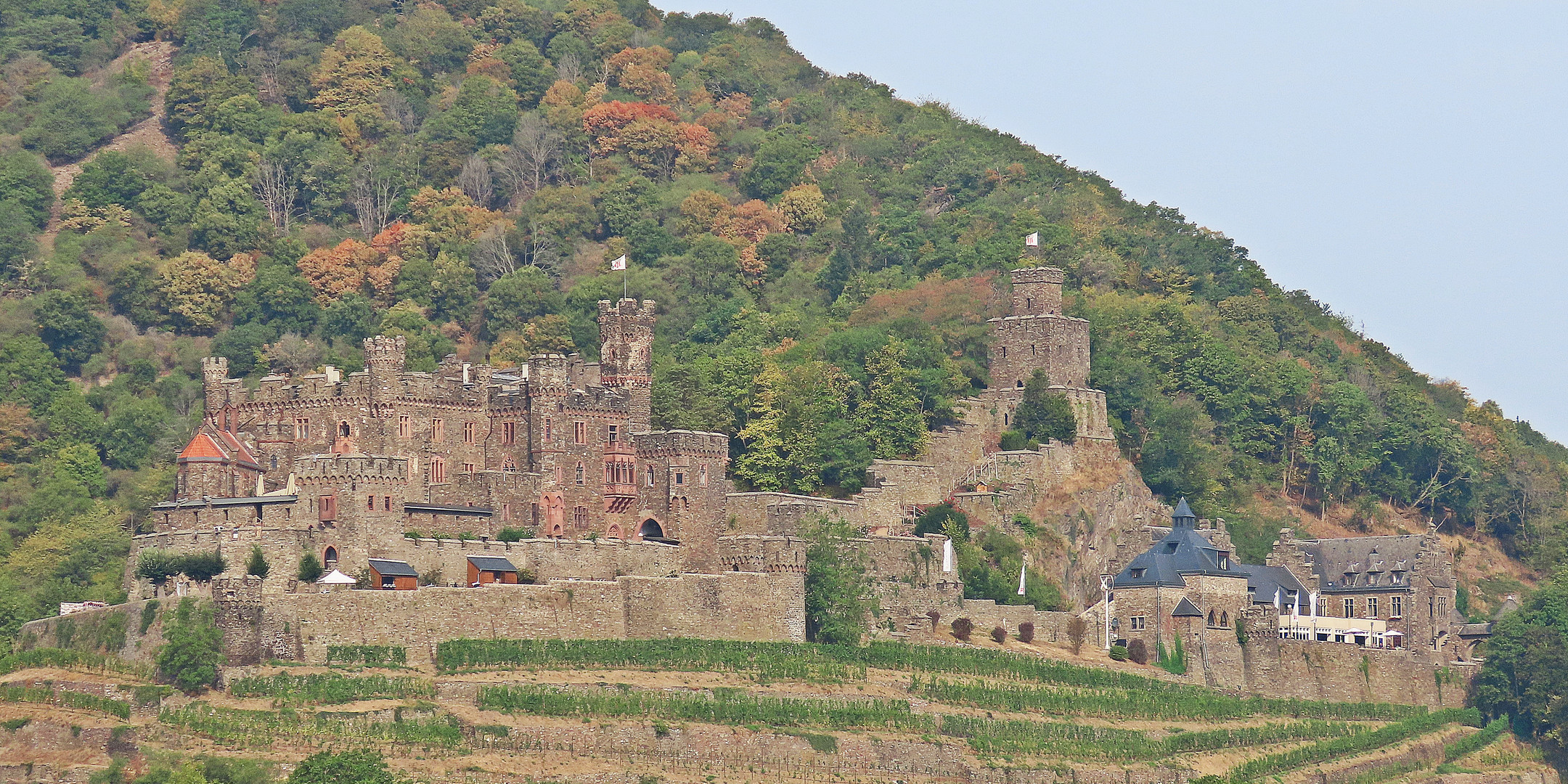 Burg Reichenstein