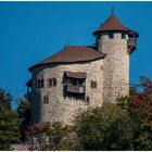 Burg Reichenstein