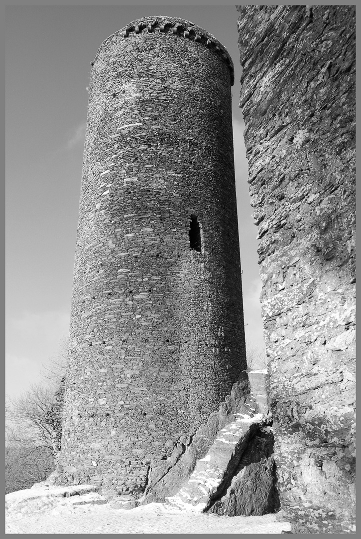 Burg Reifenberg/TS