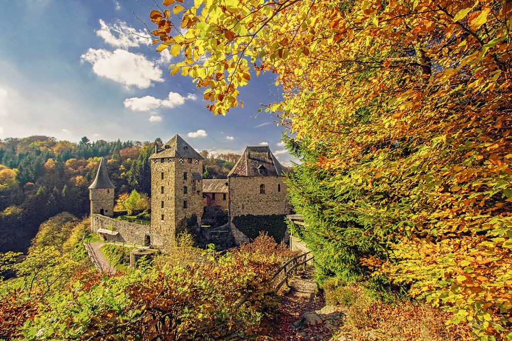 ~ Burg Reinhardstein ~