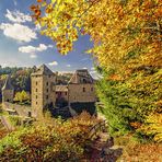 ~ Burg Reinhardstein ~