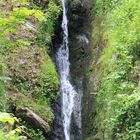 Burg Reinhardsteins kleiner Wasserfall.