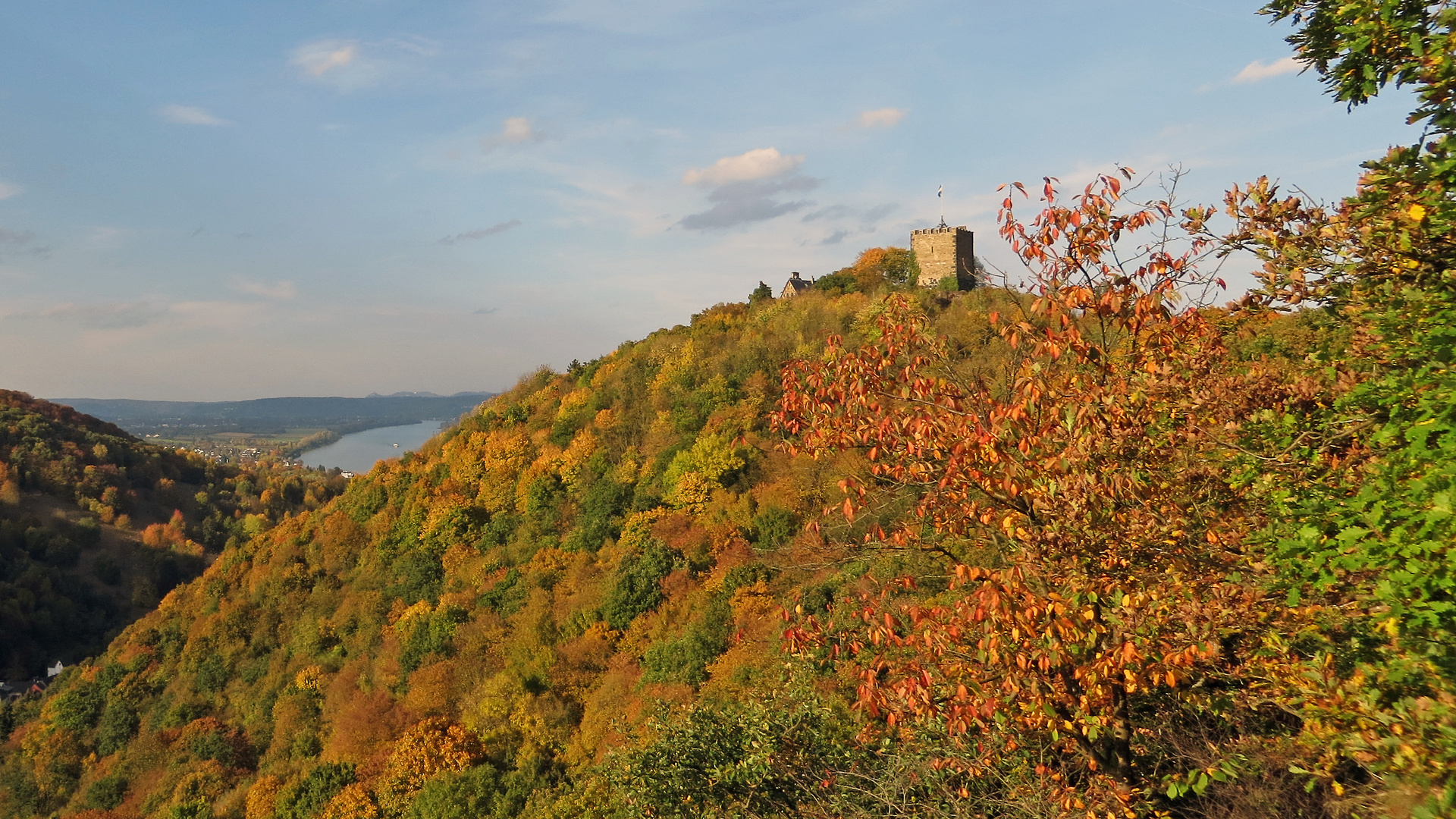 Burg Rheineck