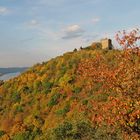 Burg Rheineck