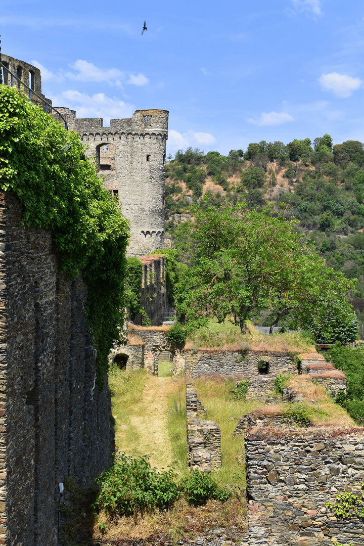 Burg Rheinfels