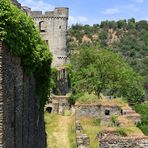 Burg Rheinfels