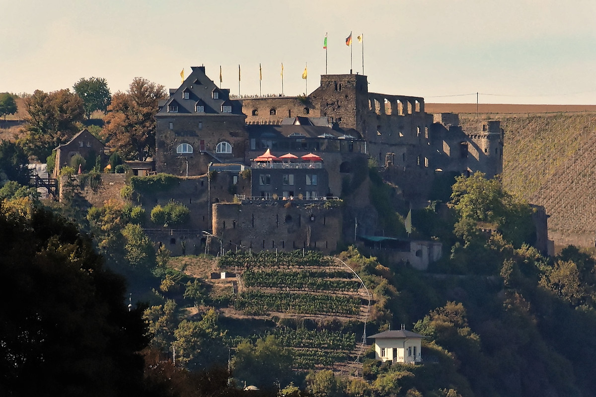 Burg Rheinfels