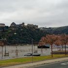 Burg Rheinfels