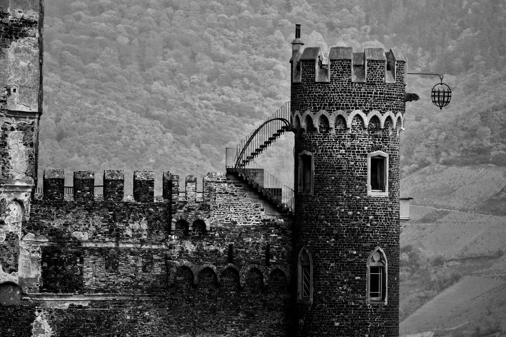 Burg Rheinfels von autmundis 