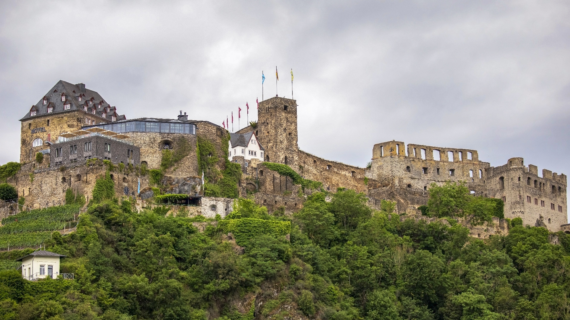 Burg Rheinfels