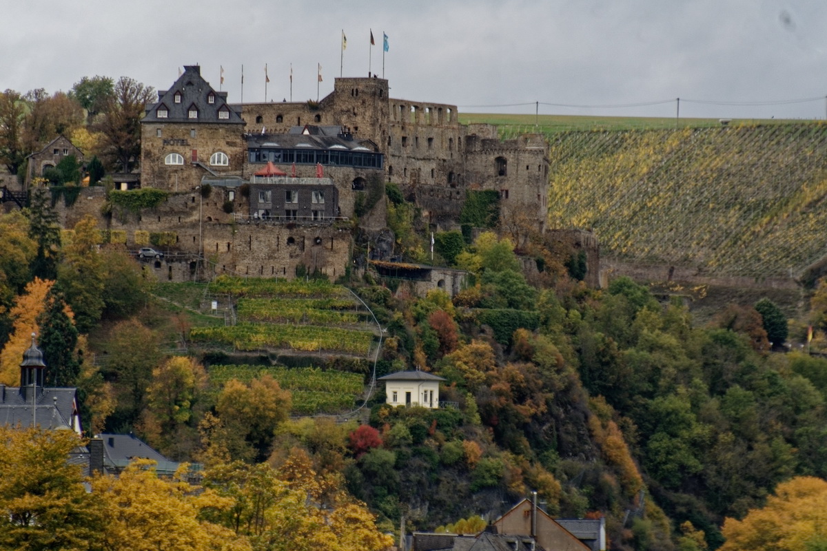 Burg Rheinfels