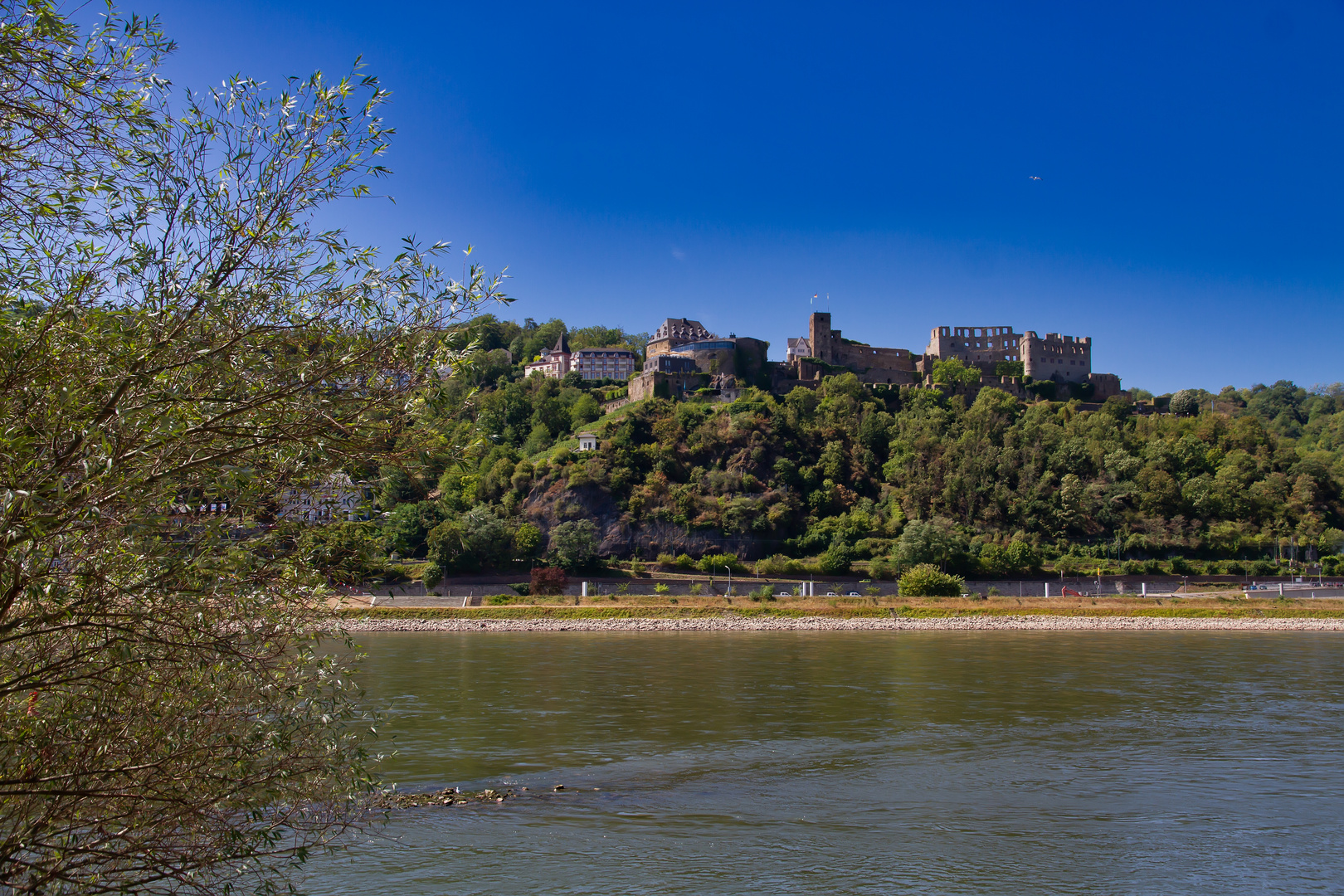 Burg Rheinfels bei Niedrigwasser