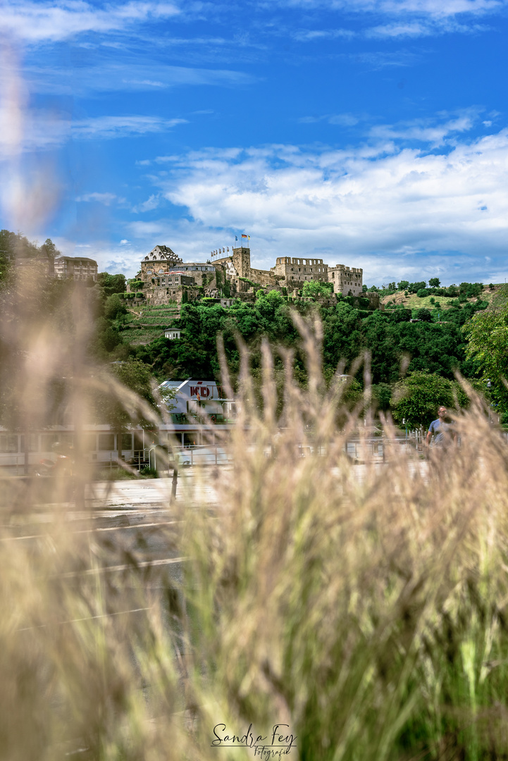 Burg Rheinfels