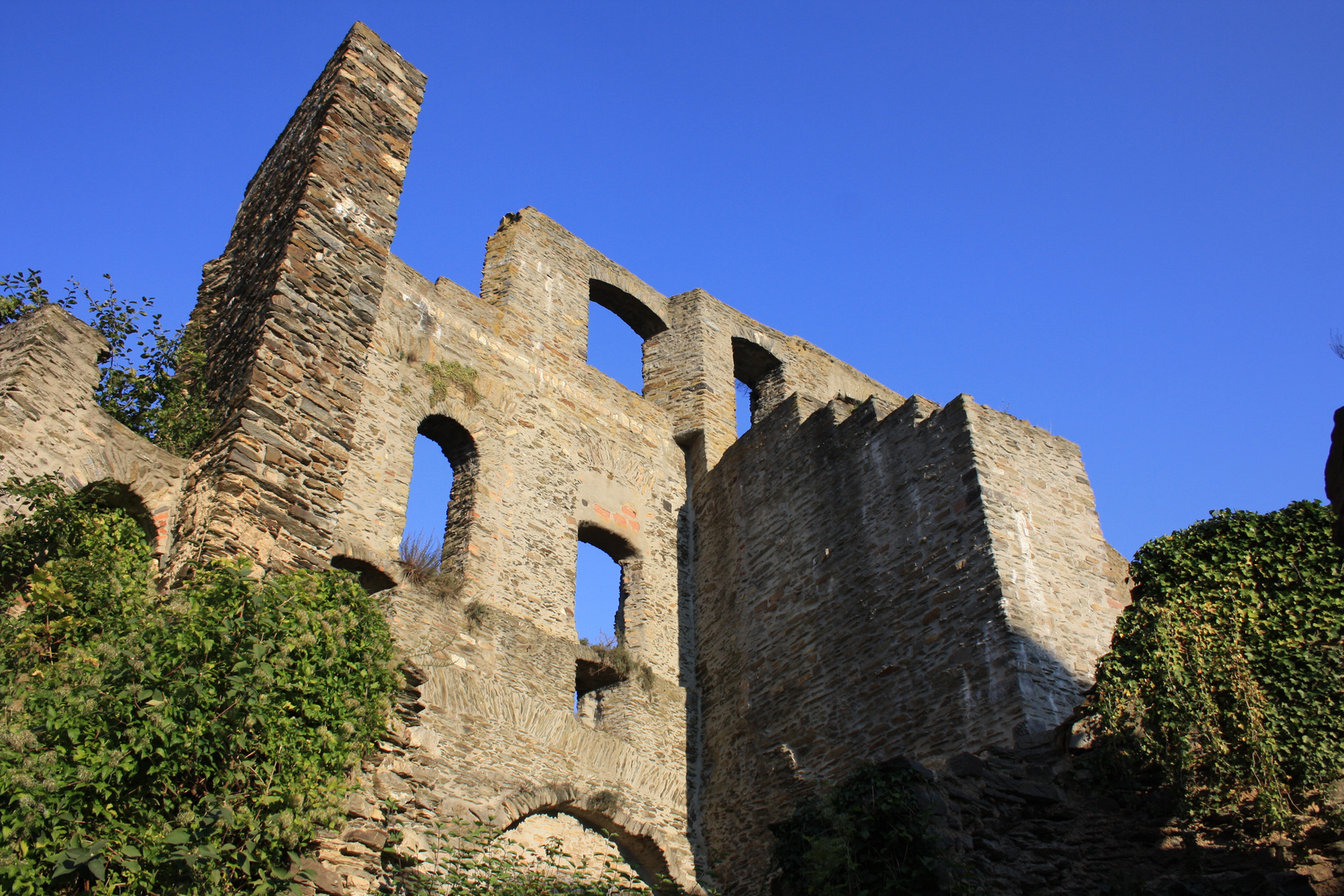 Burg Rheinfels.2