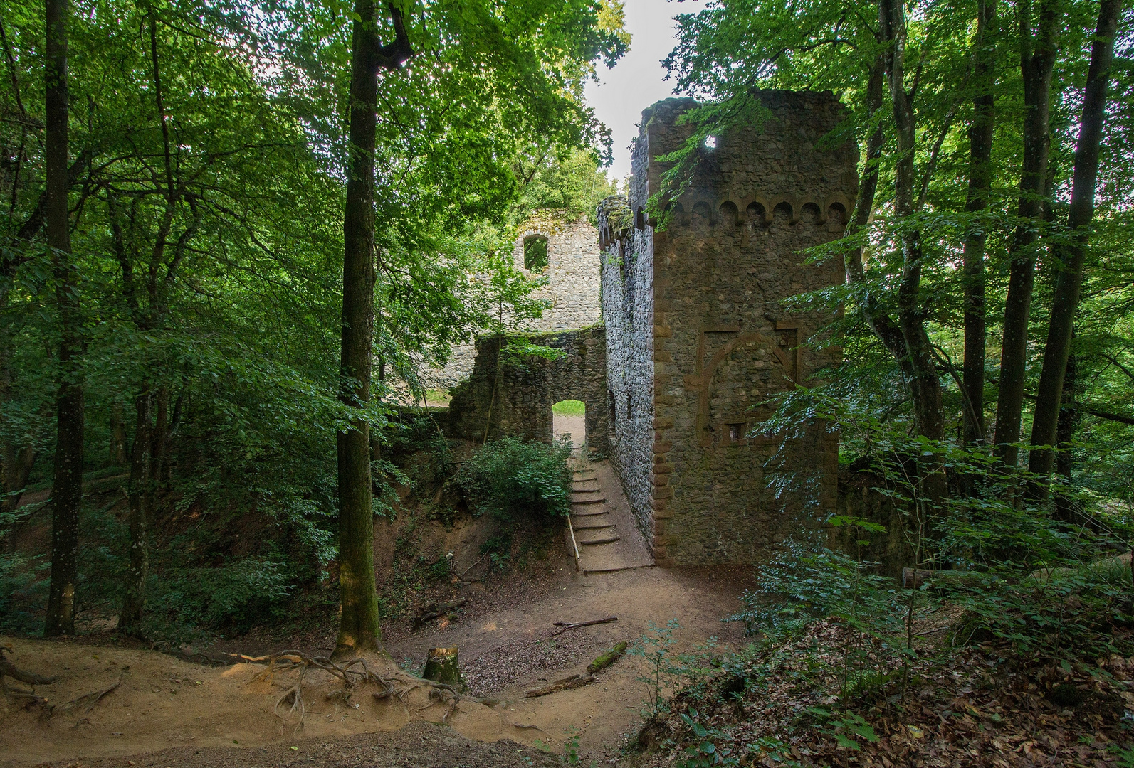 Burg Rodenstein Foto & Bild world, wald, dokumentation Bilder auf