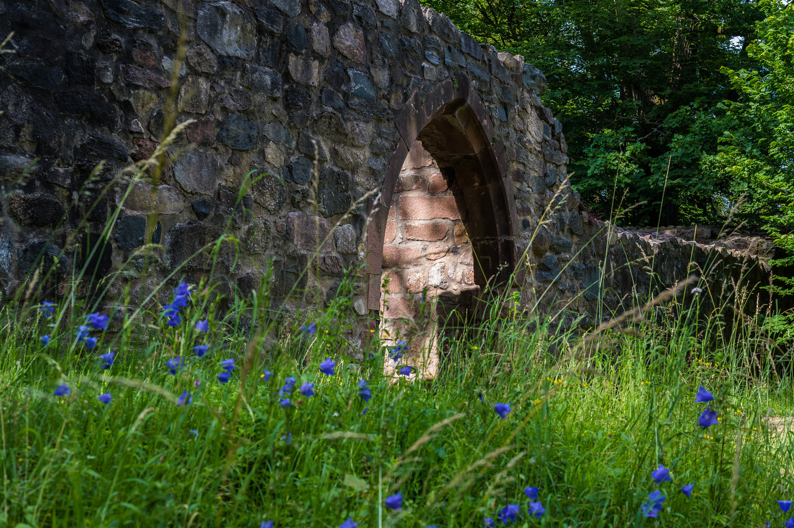 Burg Rodenstein im Odenwald (die Zweite)