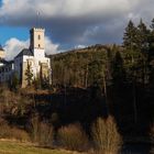 Burg Rožmberk oder Rosenberg