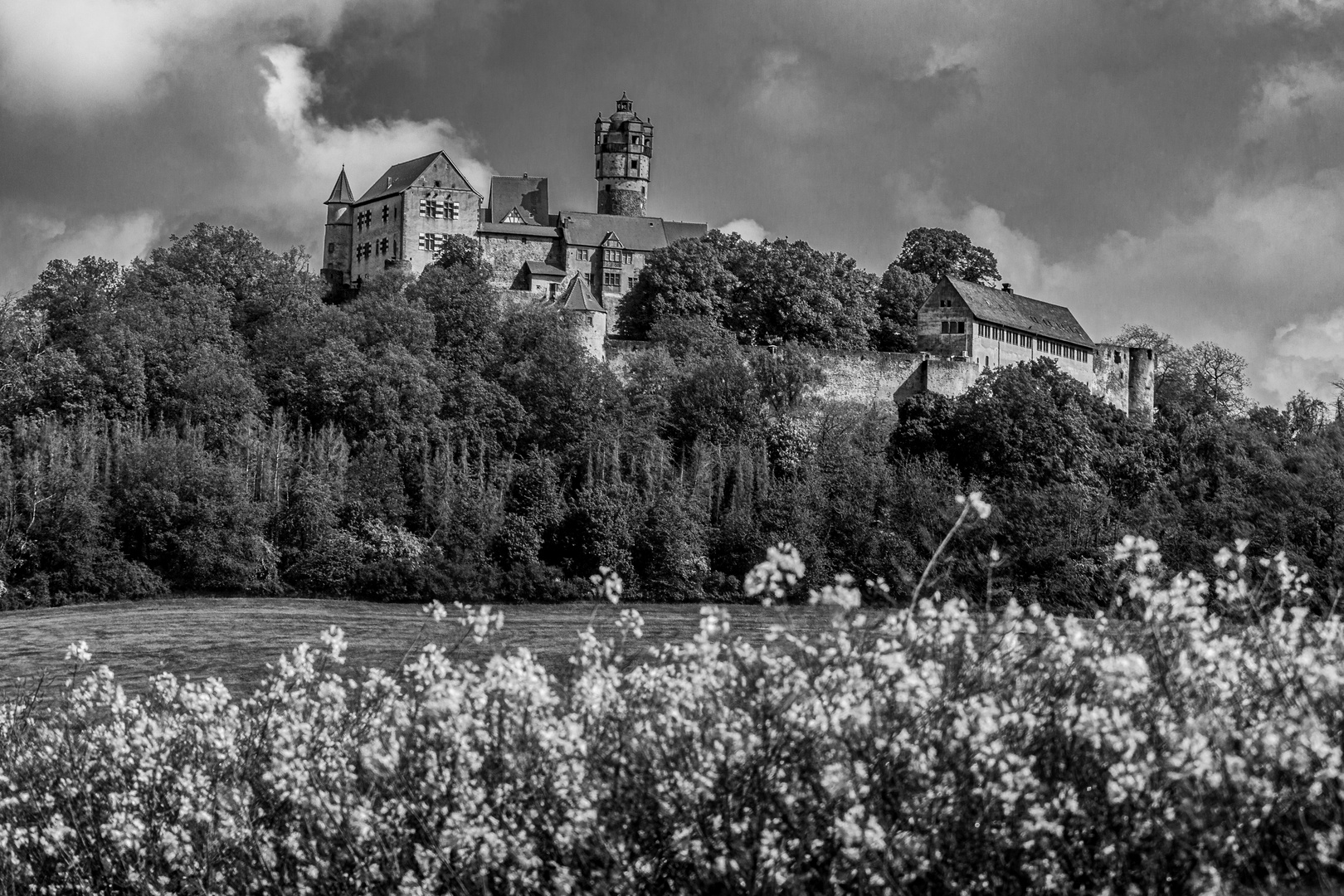 Burg Ronneburg