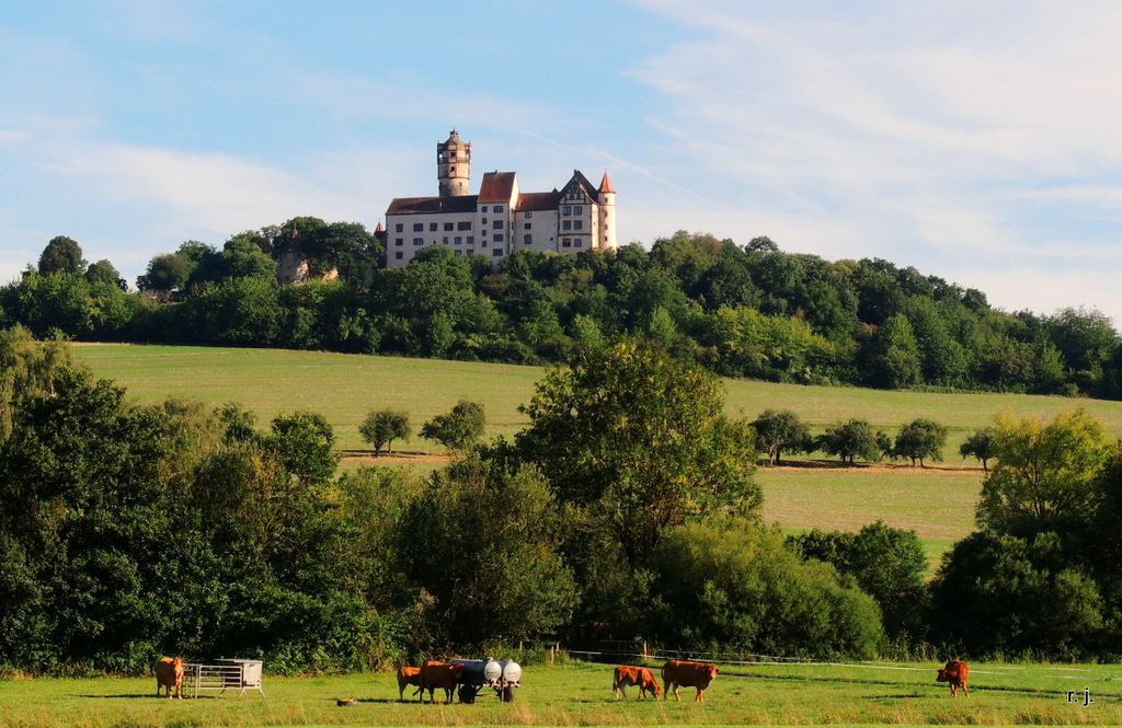 "Burg Ronneburg"