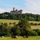 "Burg Ronneburg"