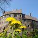 Burg Rolau mit Lwenzahn