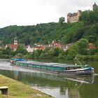 Burg Rothenfels am Main