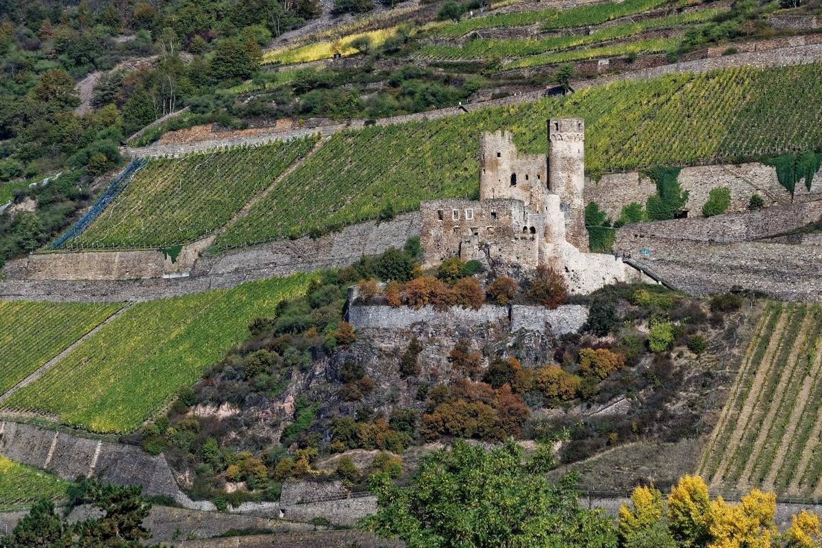 Burg Ruine Ehrenfels