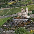 Burg Ruine Ehrenfels