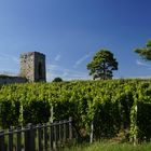 Burg Ruine Hoheneck 